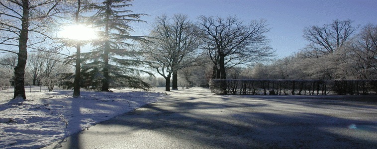 Circolo Golf Torino La Mandria