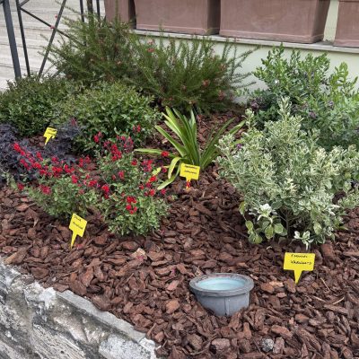 Il giardino dell'Aniene